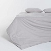 Постельное белье GoodNight Pure Страйп-сатин 1.5сп 417432 (светло-серый)
