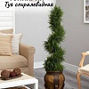 Искусственное растение Merry Bear Home Decor Туя спиралевидная KA0035