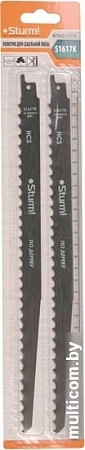 Набор пильных полотен Sturm S-091660 (2 шт)