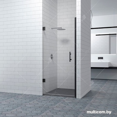 Душевая дверь RGW HO-011B 80 (черный/прозрачное стекло)