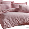 Постельное белье Arya Stone Washed Paige 8680943229717
