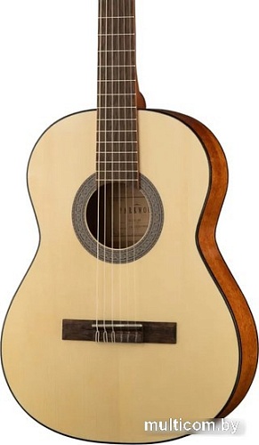 Акустическая гитара Parkwood PC90-WBAG-OP
