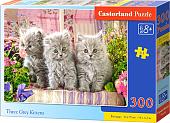 Пазл Castorland Три котенка B-030330 (300 эл)