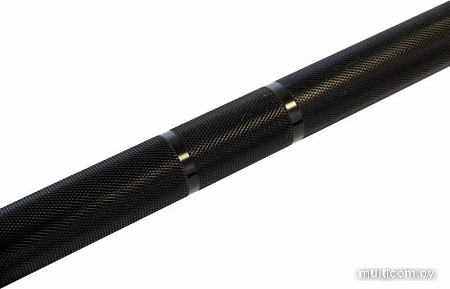 Гриф для штанги Rebel R-OCTB86