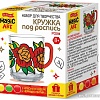 Набор для рисования Десятое королевство Кружка под роспись. Розы 04499