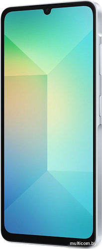 Смартфон Samsung Galaxy A06 SM-A065F 6GB/128GB (голубой)