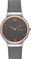 Наручные часы Skagen SKW2382