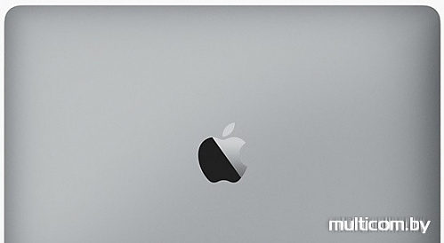 Ноутбук Apple MacBook (2017 год) [MNYG2]