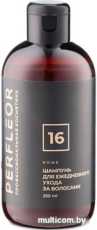 Шампунь Perfleor Ежедневный уход для нормальных волос 16 250 мл