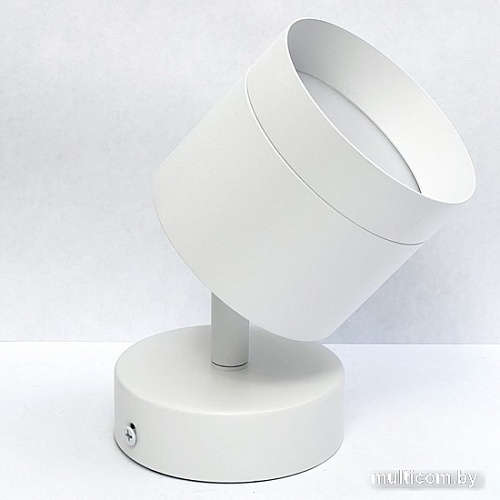 Спот TruEnergy 21027