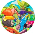 Развивающая игра Paremo Птицы PE720-06