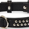 Ошейник Camon DA084/E (кожаный с заклепками черный)