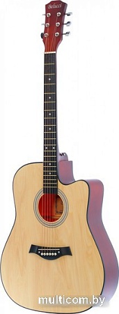 Акустическая гитара Belucci BC4120 N
