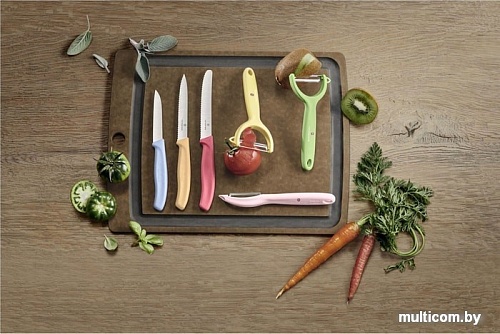 Набор ножей Victorinox Swiss Classic 6.7116.34L1