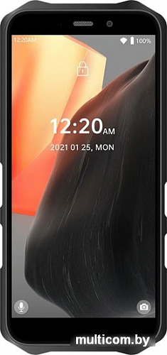 Смартфон Oukitel WP12 4GB/32GB (черный)