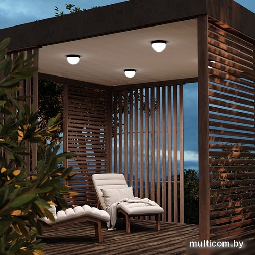 Уличный подвесной светильник Maytoni Mon O438CL-L12GF3K