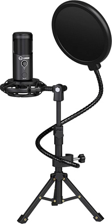 Микрофон Lorgar Voicer 721