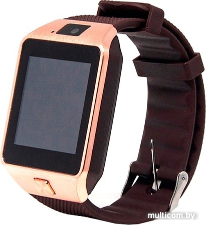 Умные часы Smarterra SmartLife X (золотистый/коричневый)