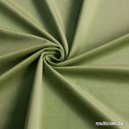 Комплект штор Pasionaria Бархат 290x230 (2 шт, светло-зеленый)