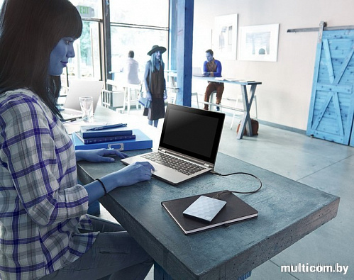 Внешний жесткий диск Seagate Backup Plus Ultra Slim Gold 2TB [STEH2000201]