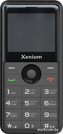 Кнопочный телефон Xenium X700 (черный)