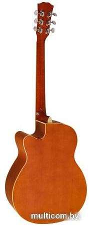 Акустическая гитара Elitaro E4010 SB