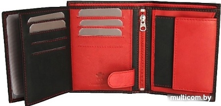 Кошелек Bellugio AM-24-034