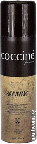 Краска Coccine Ravvivant Spray 250 мл (черный)