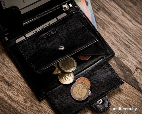 Кошелек Cedar Rovicky R-RM-10L-GCL (черный)