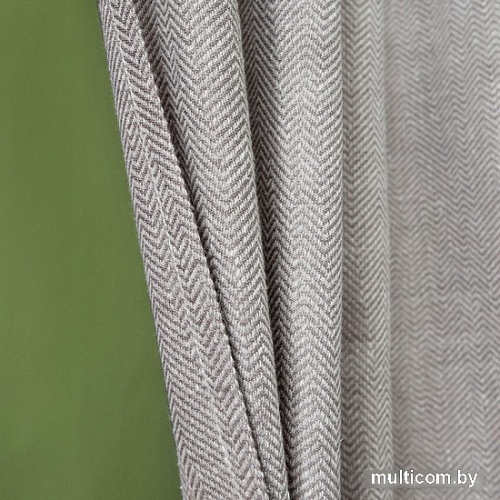 Комплект штор Pasionaria Бадди 280x230 (2 шт, серый)