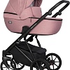 Универсальная коляска Riko Montana (3 в 1, 05)