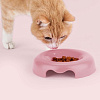 Миска United Pets Kitty GI0111RO20 (розовый)