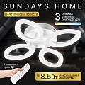 Припотолочная люстра Sundays Home 240924-24 5863