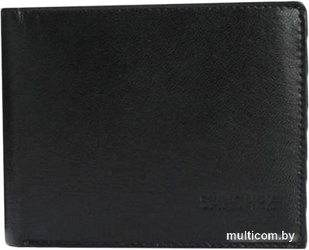 Кошелек Sanchez Casual AM-102R-033 (черный)