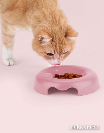 Миска United Pets Kitty GI0111RO20 (розовый)