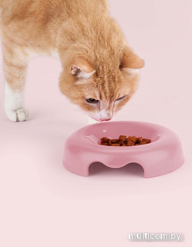 Миска United Pets Kitty GI0111RO20 (розовый)