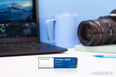 SSD WD Blue SN570 1TB WDS100T3B0C