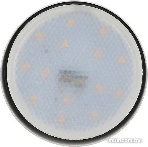 Точечный светильник ЭРА OL11 LD GX53 WH
