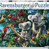 Пазл Ravensburger Коалы на дереве 14826 (500 эл)