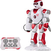 Интерактивная игрушка Le Neng Toys K2