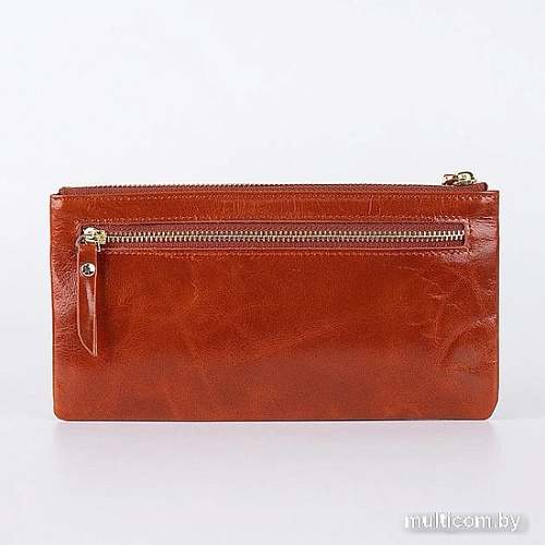 Кошелек Francesco Molinary 895-3387-BRW (коричневый)