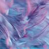 Фотообои Vimala Перья 7 270x300