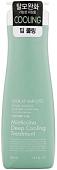 Кондиционер Daeng Gi Meo Ri Look At Hairl Loss Minticcino Deep Cooling Treatment 500 мл