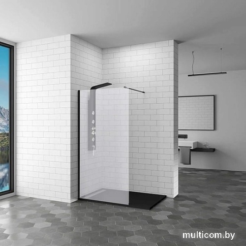 Душевая стенка RGW WA-010B 90 (черный/матовое стекло)