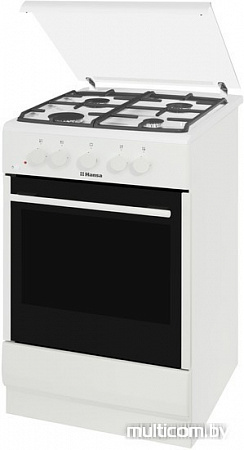 Кухонная плита Hansa FCGW52028