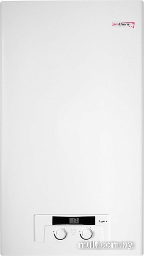 Отопительный котел Protherm Рысь HK 24