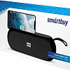 Беспроводная колонка SmartBuy Radio Active SBS-470