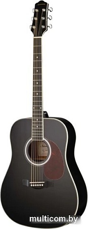 Акустическая гитара Naranda DG220BK