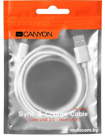 Кабель Canyon CNE-USBM1W