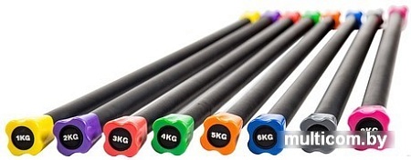 Бодибар Profi-Fit PF-BDB-5 5кг